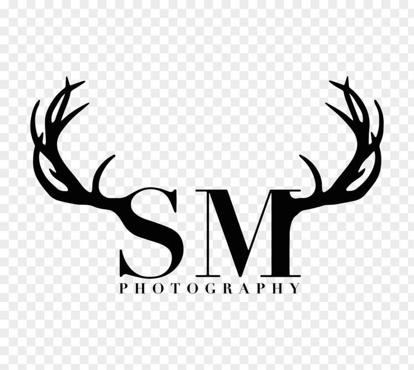 United States Decal Photography Logo PNG