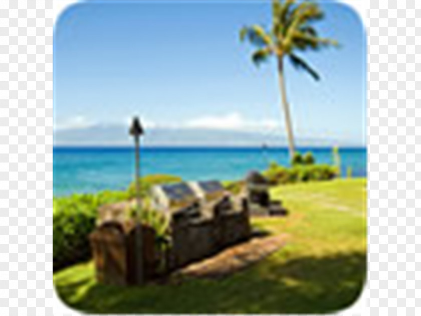 Vacation Caribbean Tropics Tourism Sky Plc PNG