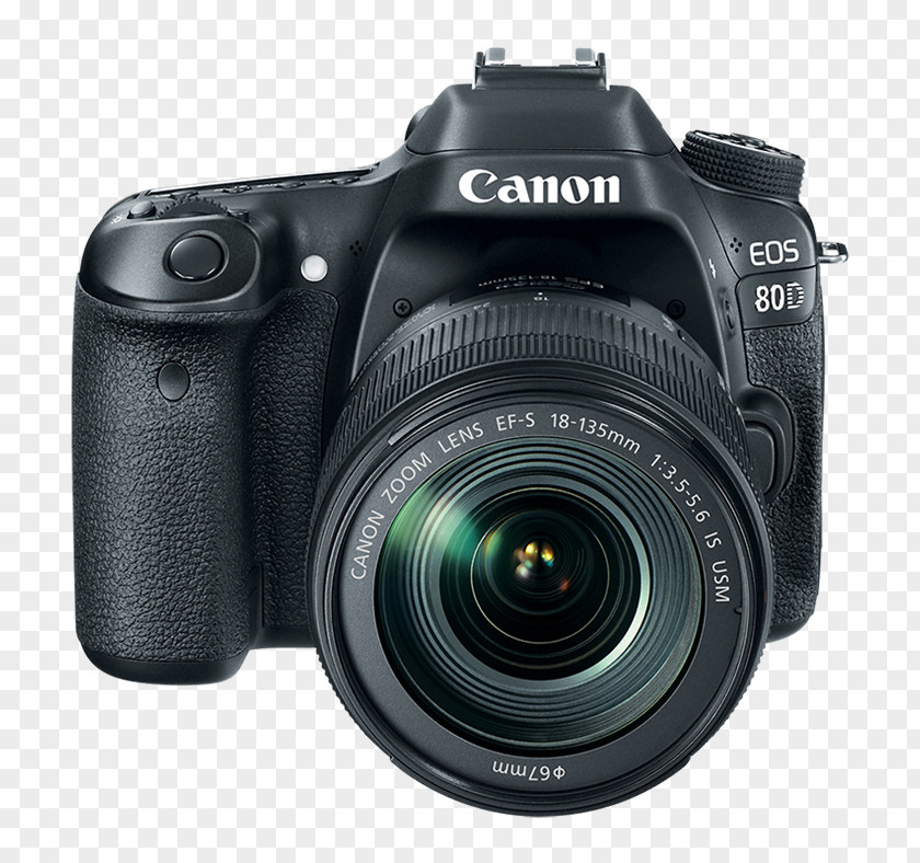 Canon EOS 80D M5 5D Mark IV EF-S 18–135mm Lens PNG