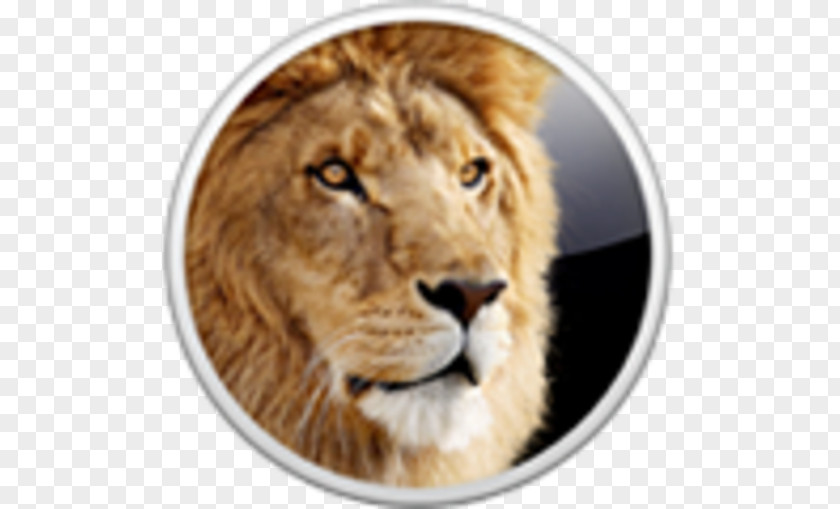 Mac Os X Lion OS MacOS Installation Operating Systems Apple PNG