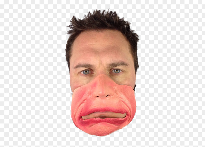 Mud Mask Snout Face Smile Mouth PNG