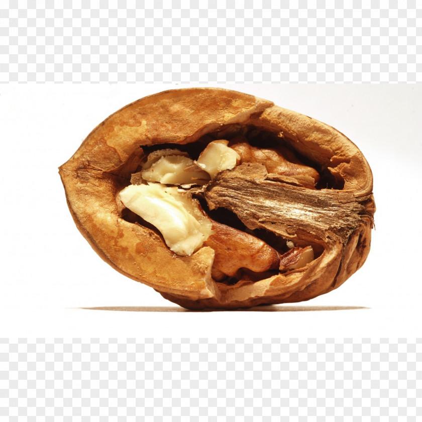 Almond Walnut Health Dried Fruit PNG