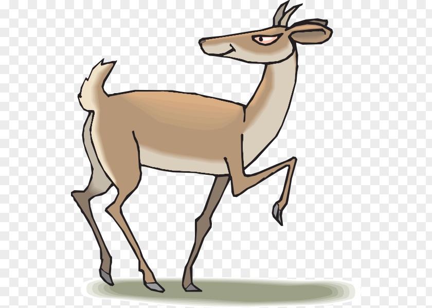 Antelope Cliparts Pronghorn Deer Animal Illustrations Clip Art PNG