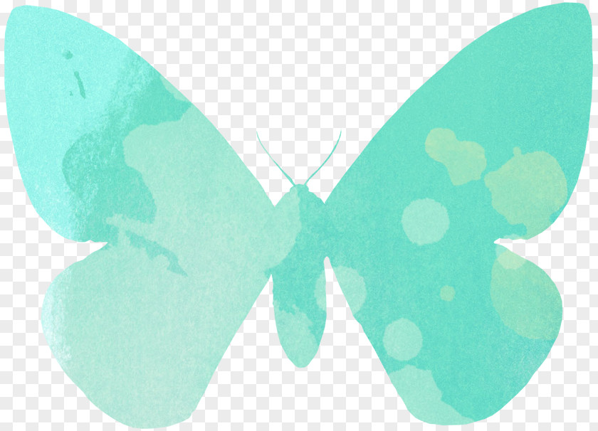 Butterfly Green Turquoise Wing Font PNG