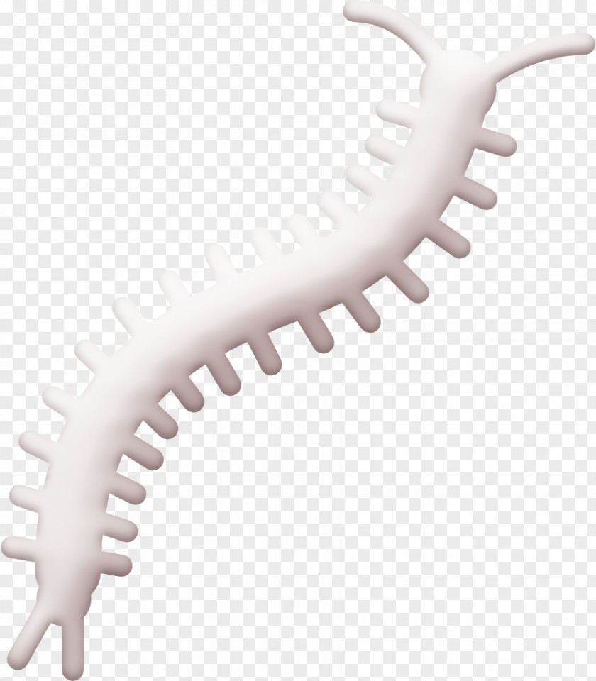 Centipede Icon Insect Animals PNG
