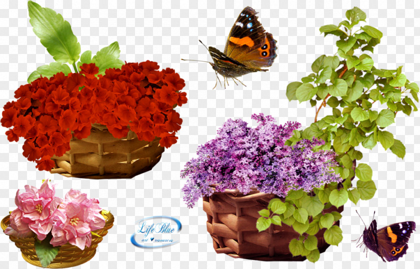 Flower Baskets Download Clip Art PNG