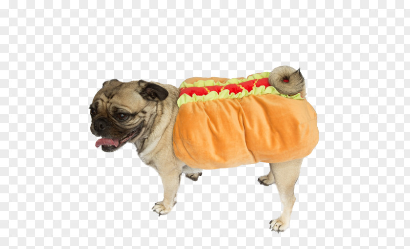 Hot Dog Pug Dachshund Puppy Beagle PNG