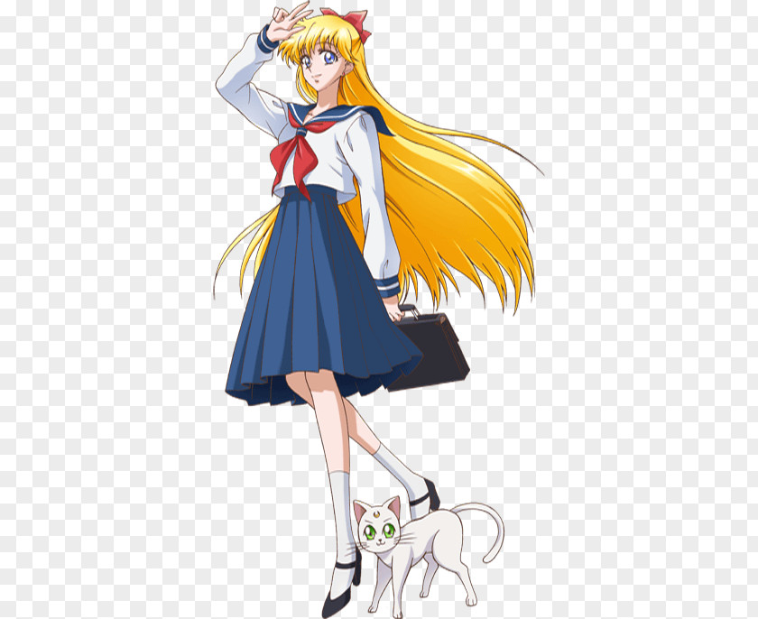 Sailor Venus Moon Jupiter Tuxedo Mask Mars PNG