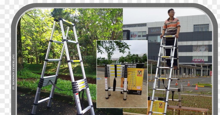 Tree Energy Ladder PNG