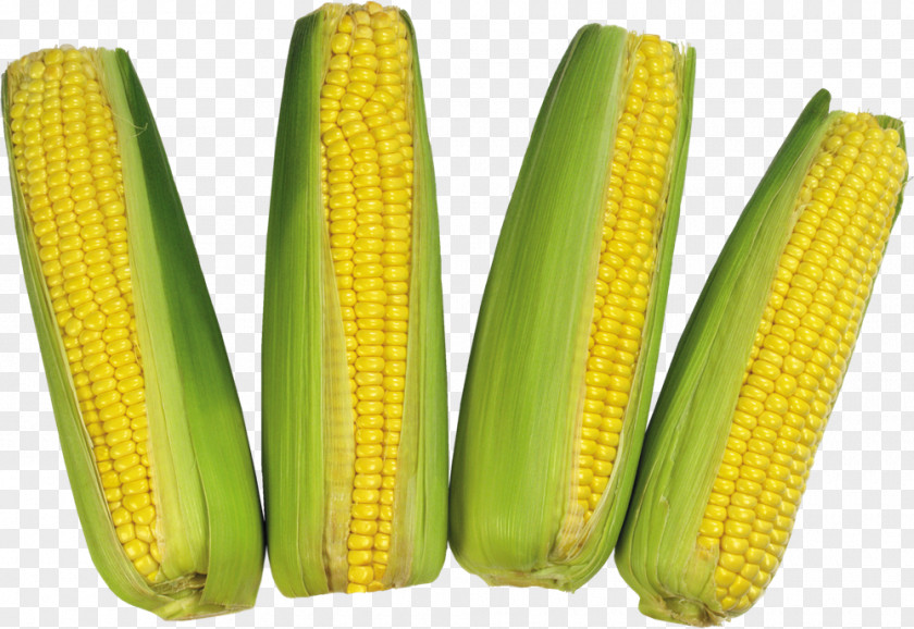 Vegetable Maize Sweet Corn On The Cob Clip Art PNG