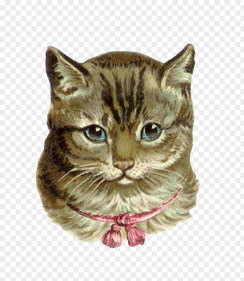 Victorian Animal Cliparts Pink Cat Kitten Tabby Clip Art PNG