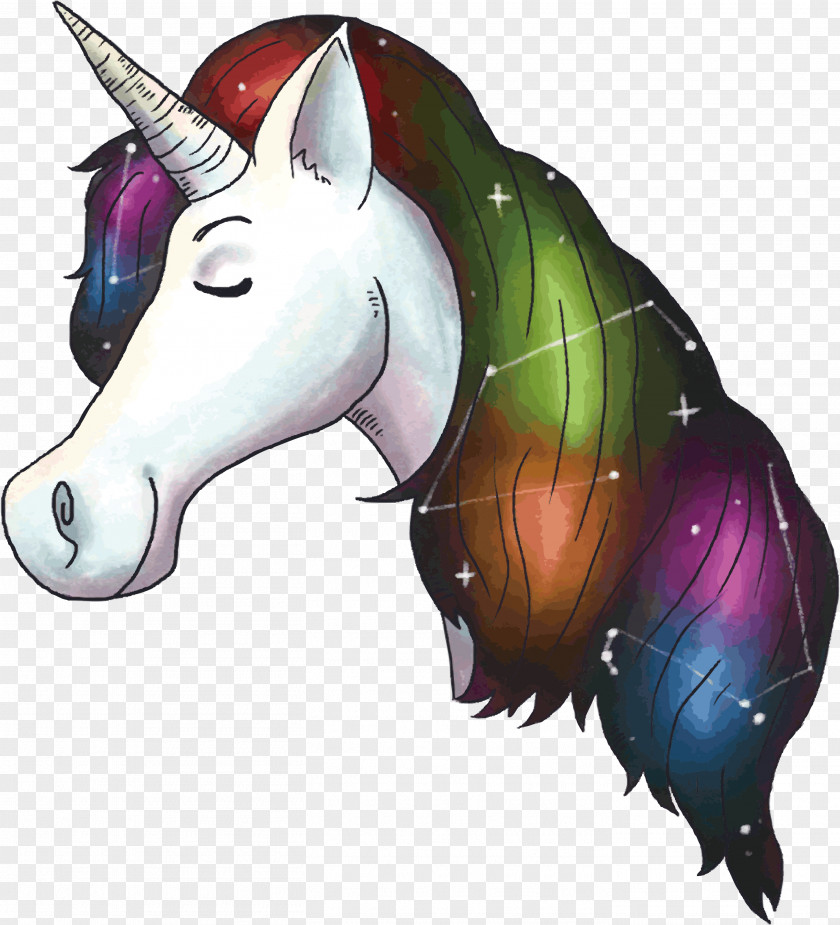 Bright Unicorn Hair Drawing PNG