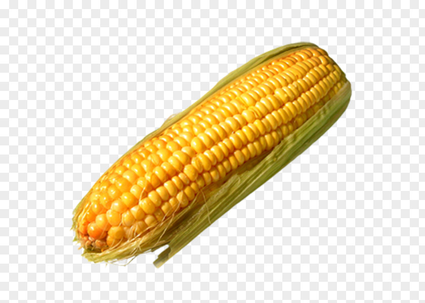Corn On The Cob Sweet Corncob Food PNG