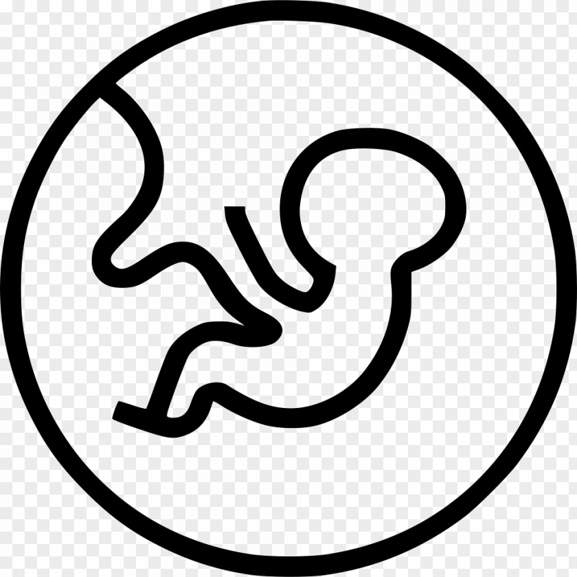 Embryo Clip Art PNG