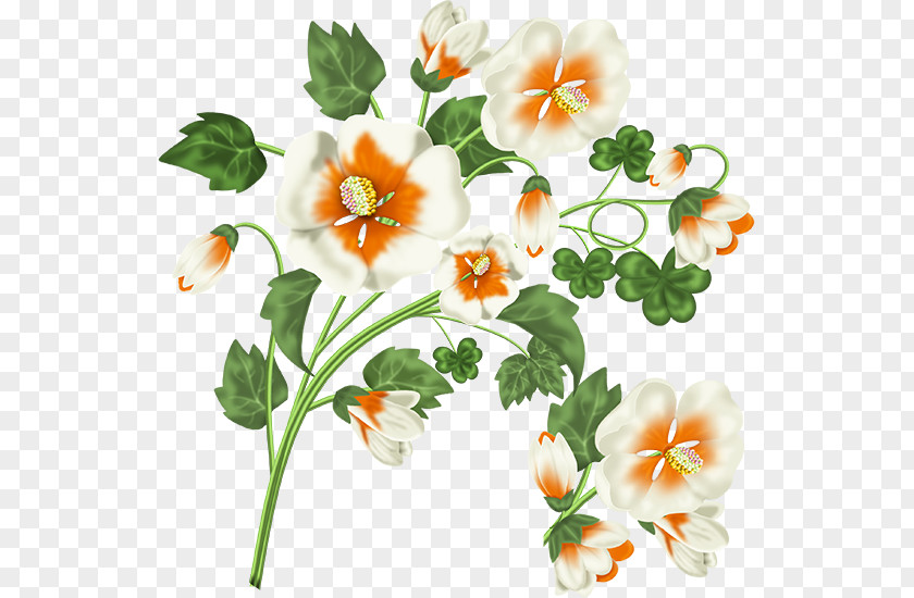 Flower Blog Clip Art PNG