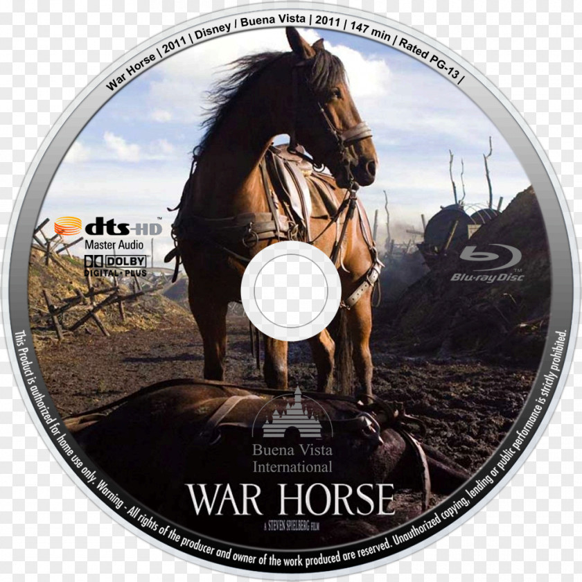Horse Horses In Warfare War Film PNG