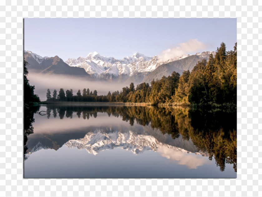 Painting Lake Matheson Reflection Goose Canvas PNG