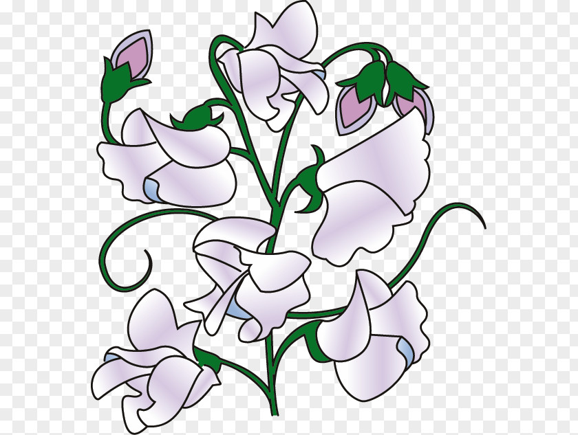 Pea Vine Cliparts Sweet Clip Art PNG