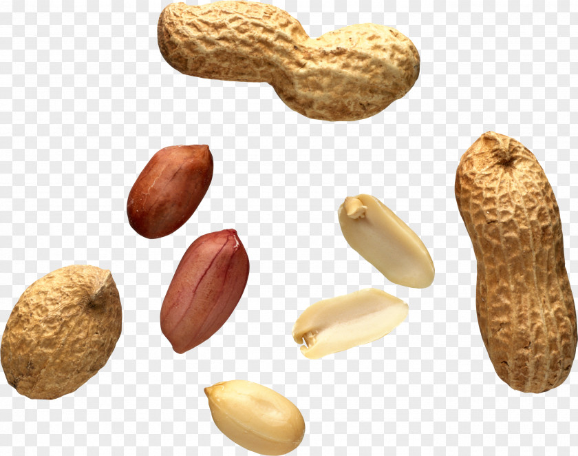 Peanut Tree Nut Allergy Food PNG