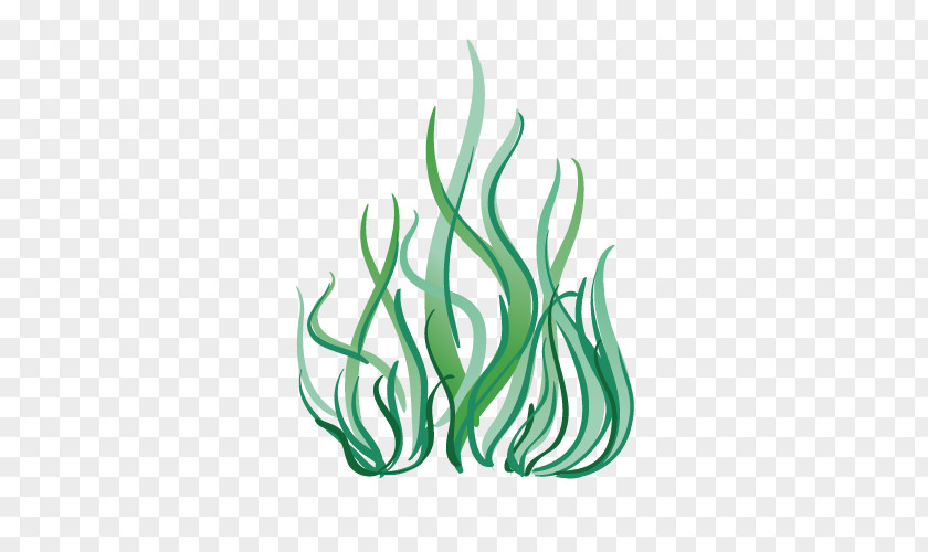 Cartoon Deep Sea Plants Seaweed Marine Biology Aquatic Plant PNG