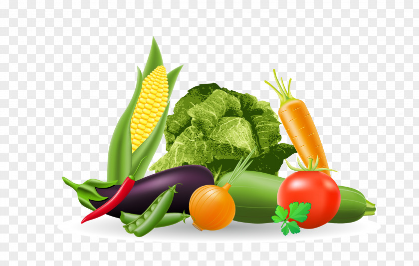 Corn Vegetable Royalty-free Drawing Illustration PNG
