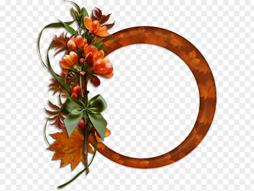 Flower Plant Orange PNG