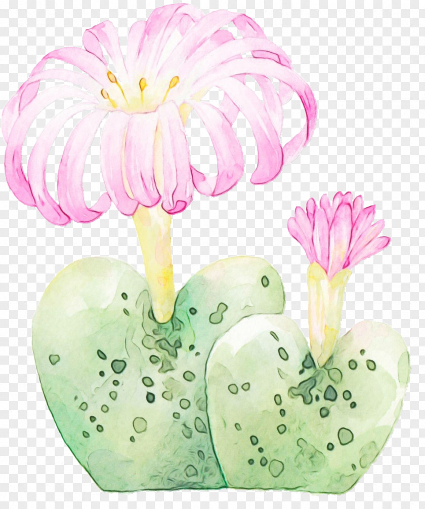 Flower Plant PNG