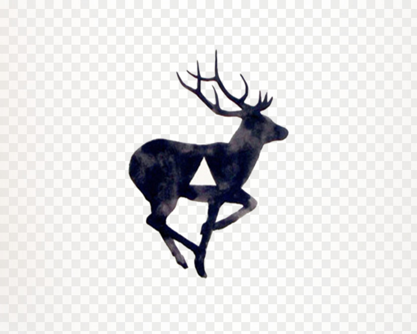 Hand-painted Deer White-tailed T-shirt Tattoo Moose PNG