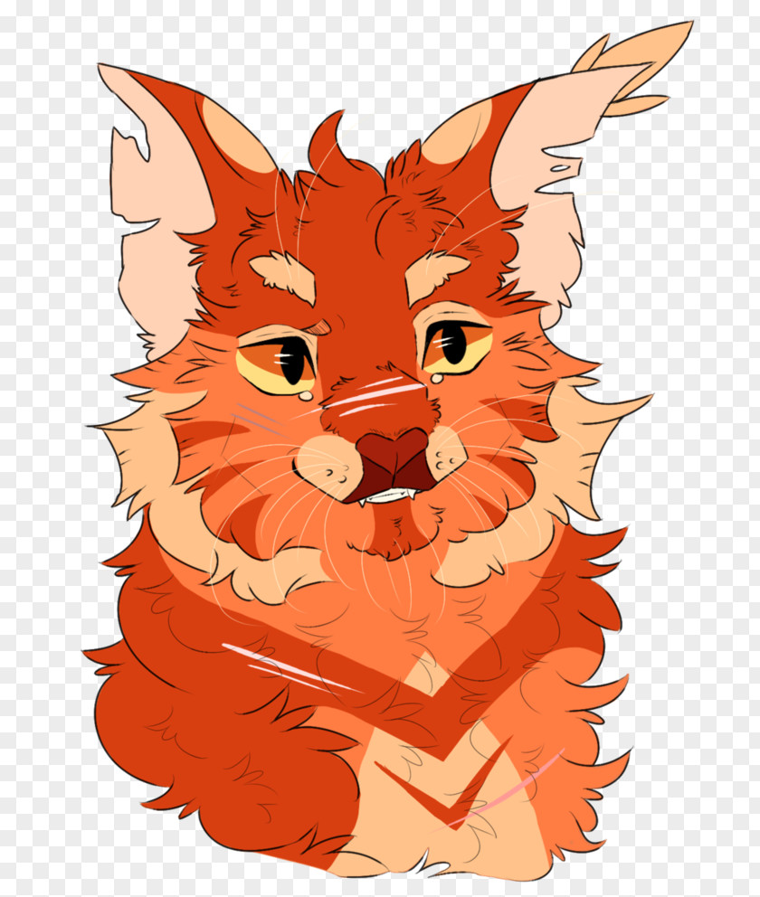 Handsome Suit Whiskers Red Fox Somali Cat Dog PNG