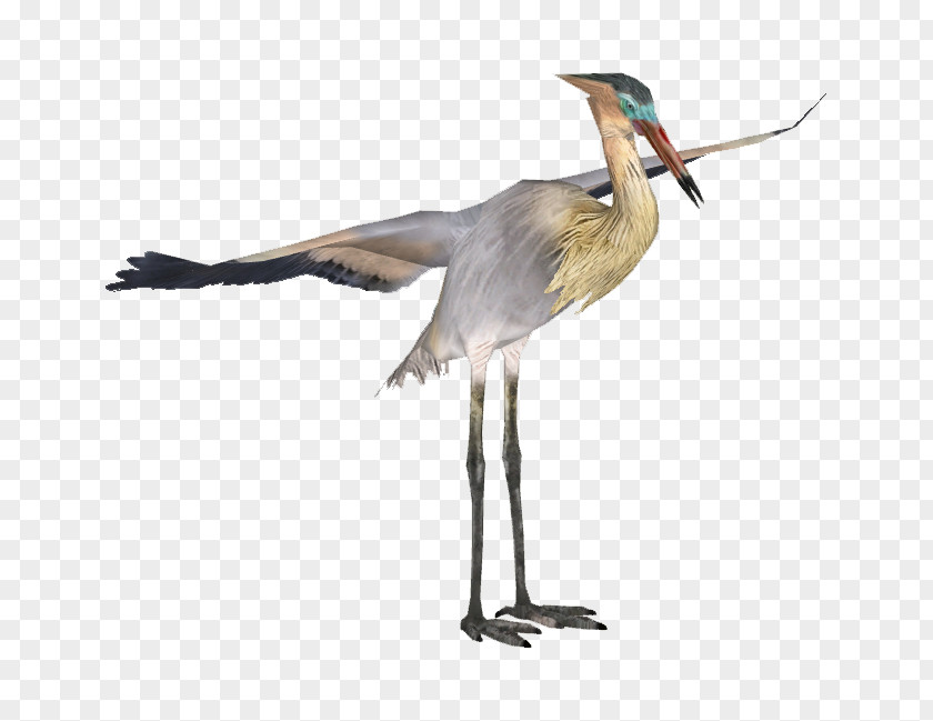 Herons Desktop Wallpaper PNG