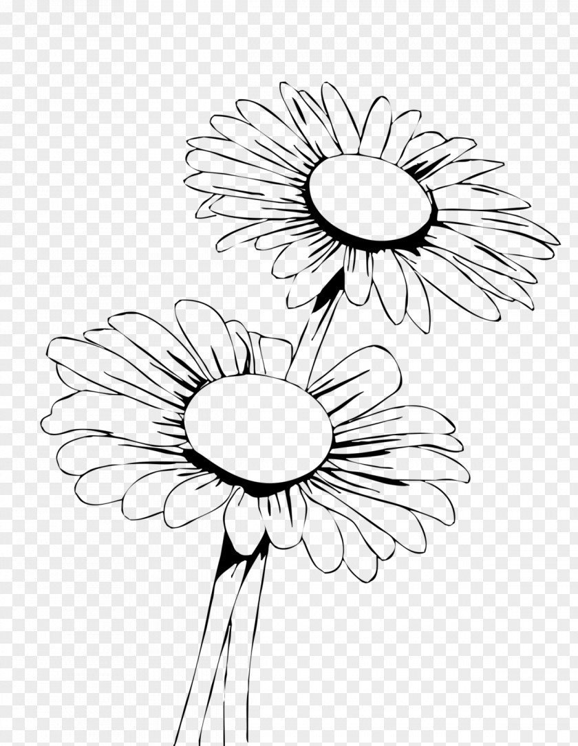 Monochrome Flowering Plant Drawing Of Family PNG