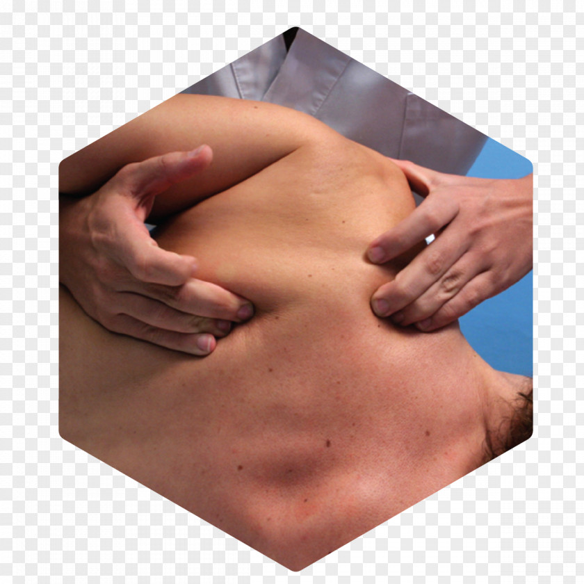Tissue Shoulder Massage Fascia Muscle Nerve PNG