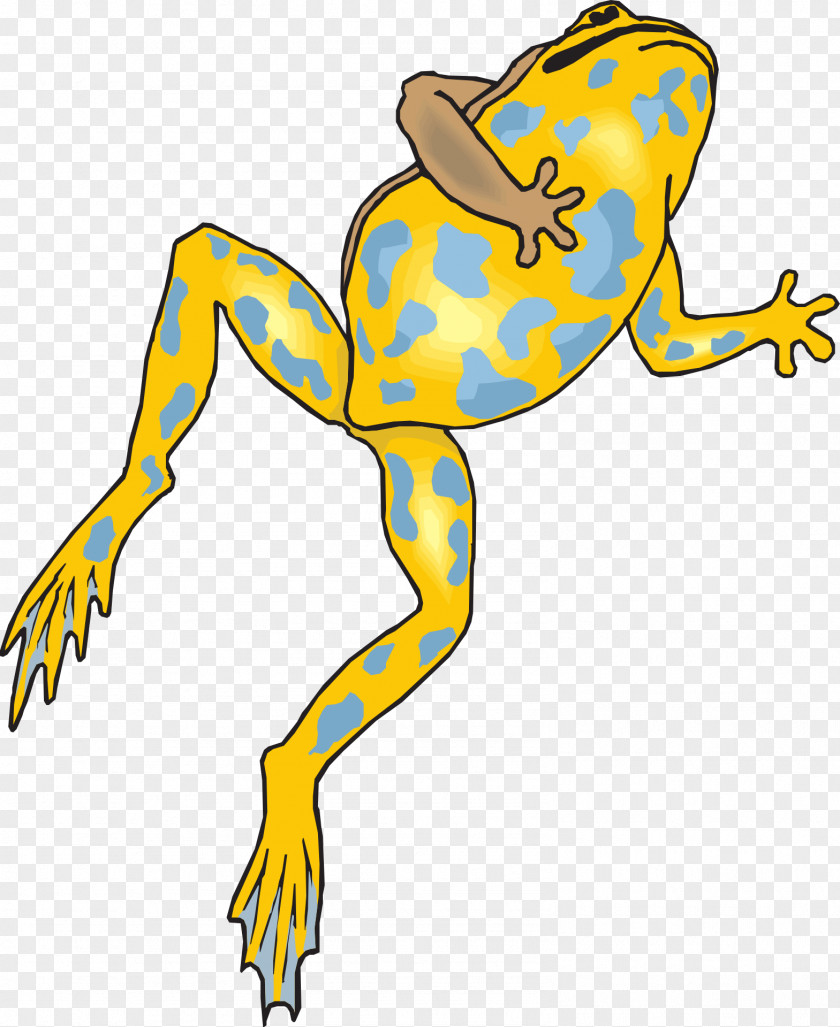 Frog Legs Amphibian Clip Art PNG