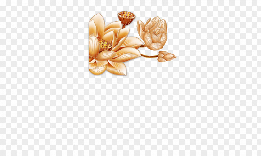 Golden Lotus, Lotus Nelumbo Nucifera Pattern PNG