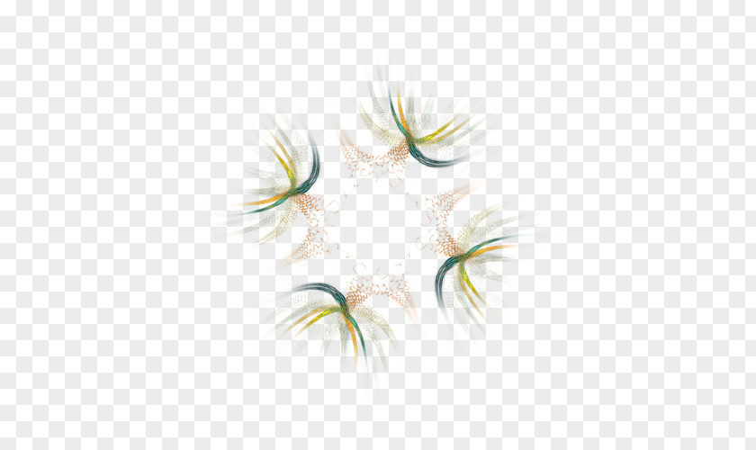 Leaf Eyelash Close-up Line Flower PNG