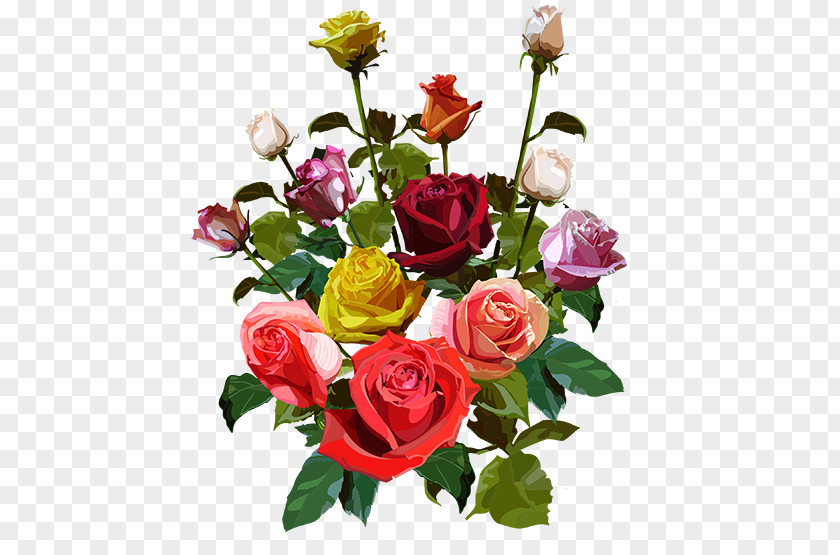 Flower Garden Roses Cut Flowers Bouquet Cabbage Rose PNG