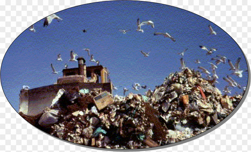 Natural Environment Waste Management Landfill Hazardous PNG