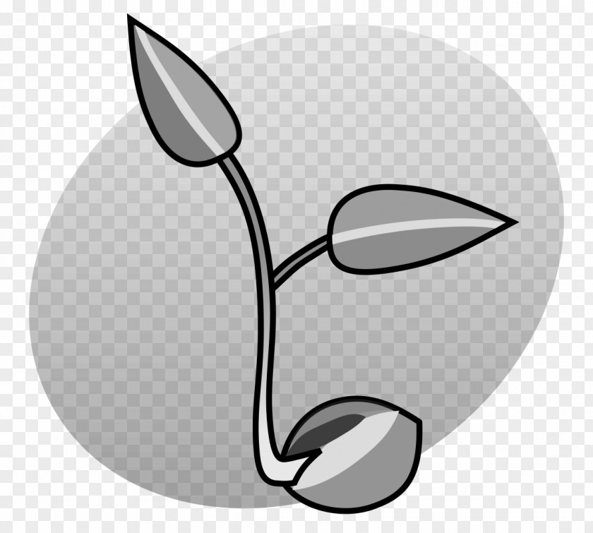 Seedling Cat Whiskers Line Art Snout Clip PNG