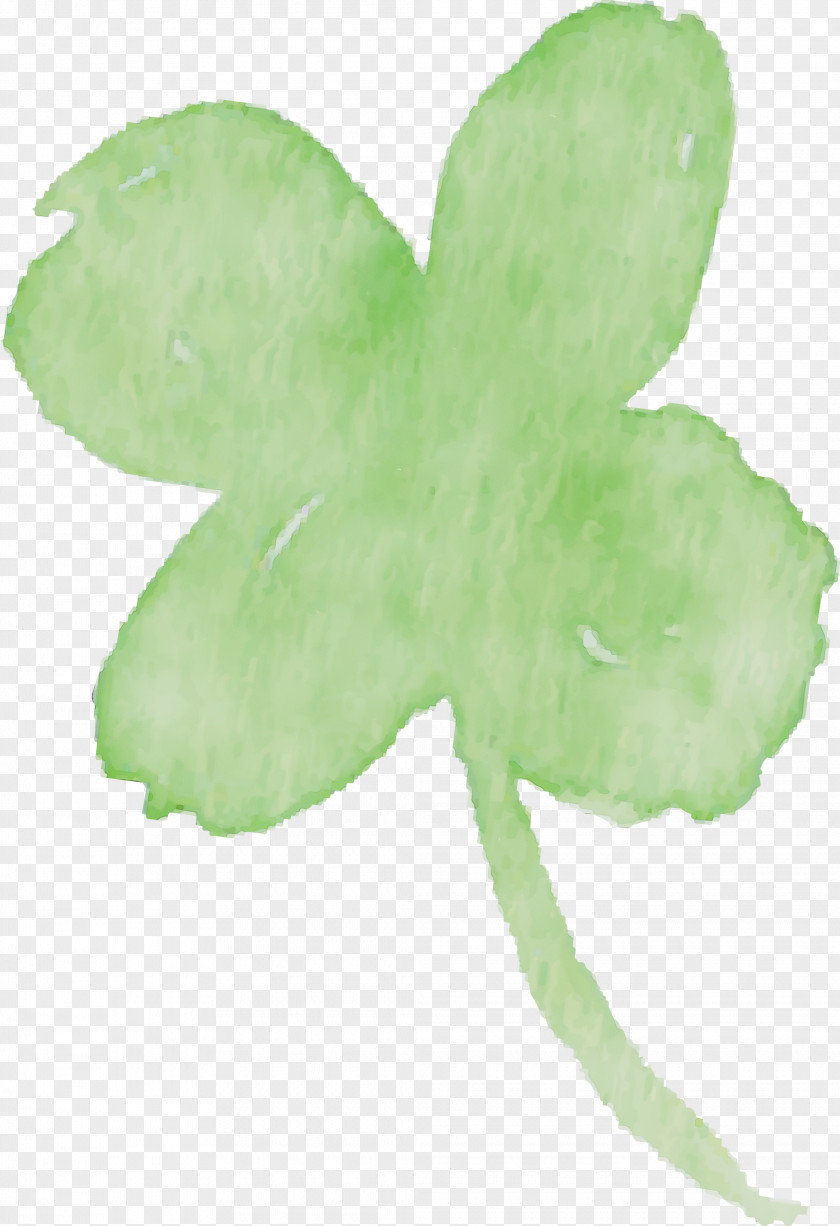 Shamrock PNG