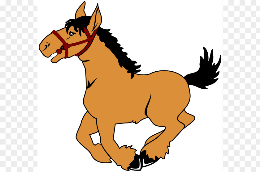 Animals Word Cliparts Horse Cartoon Clip Art PNG