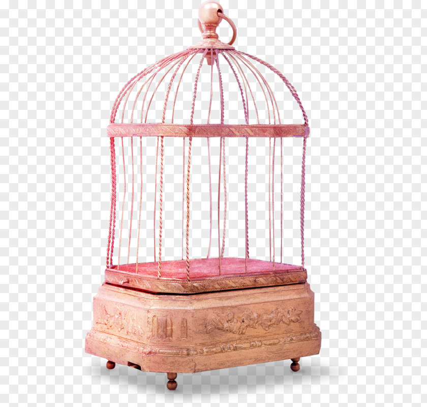 Birdcage Cage Vase Blog .net PNG