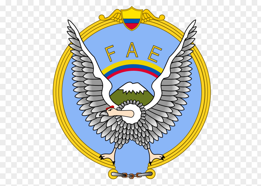 Military Ecuadorian Air Force SEPECAT Jaguar Civilian Space Agency PNG
