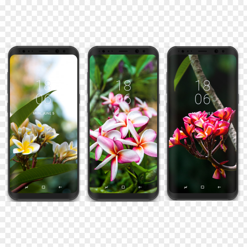 Tropical Wallpaper Samsung Galaxy S8+ Desktop PNG