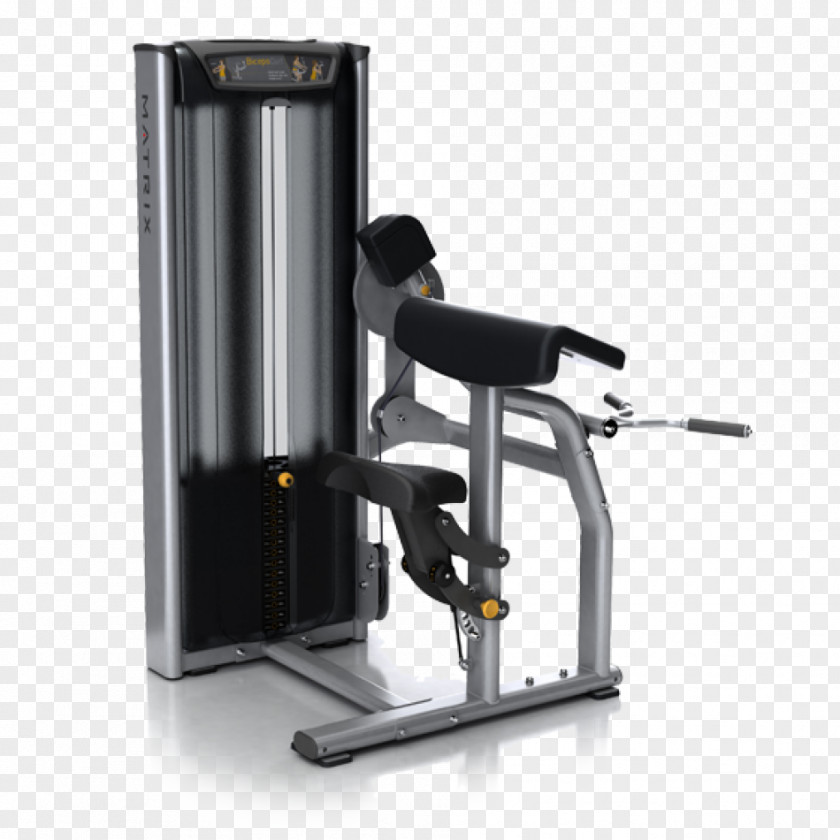 Arm Biceps Curl Exercise Machine Fitness Centre PNG