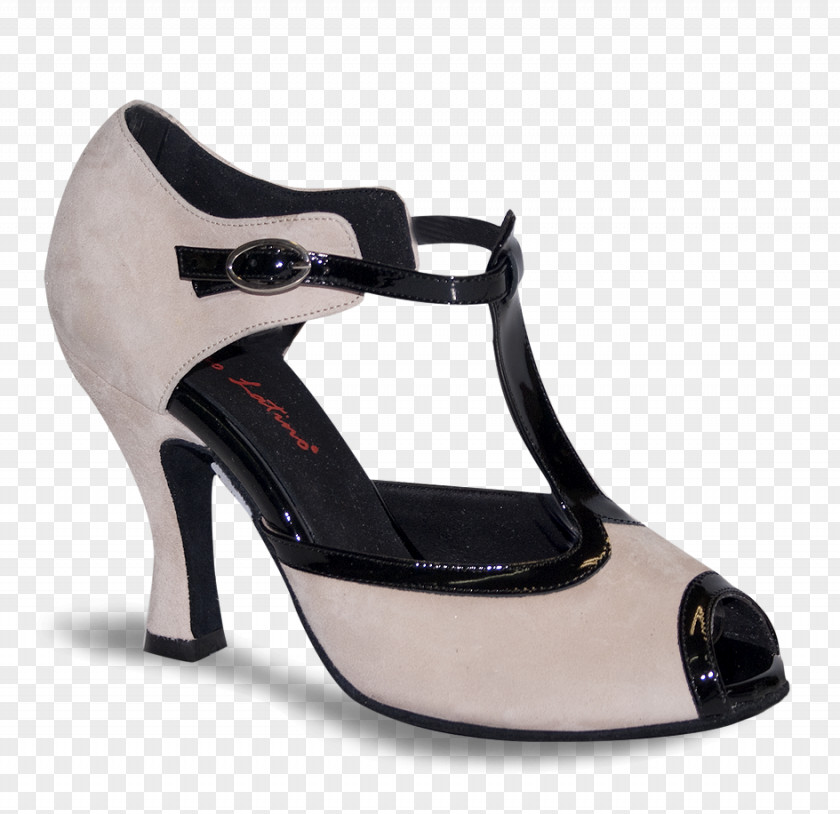 Ballet Dance Party Shoe PNG