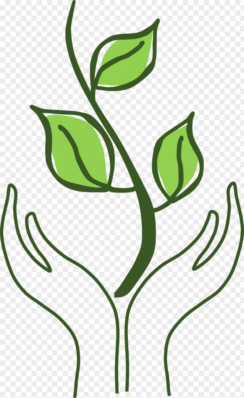 Floral Design Clip Art Leaf Font PNG