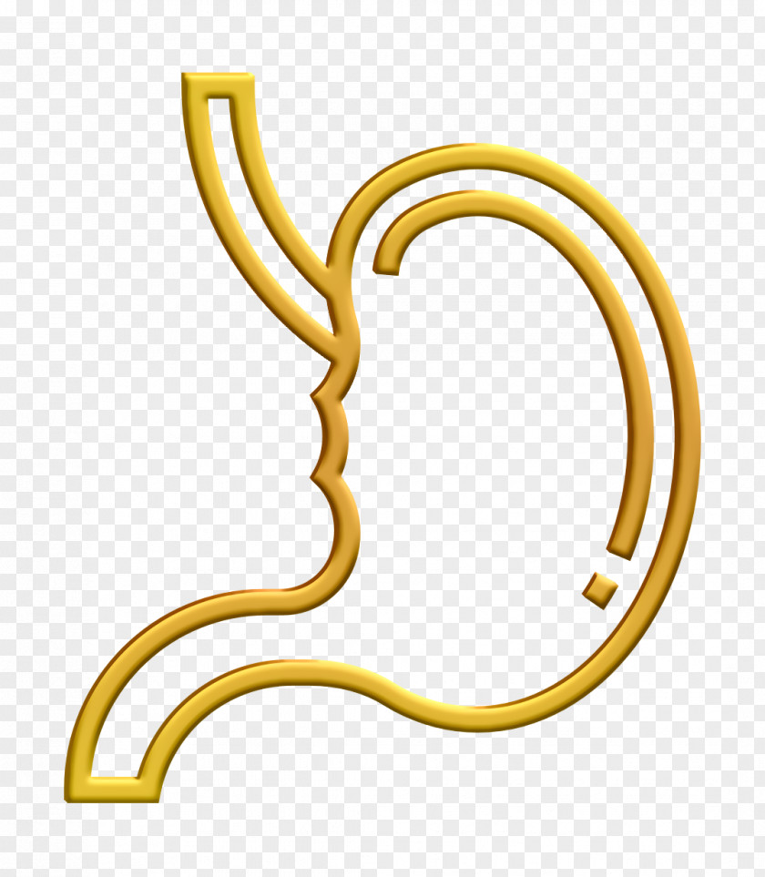 Human Organs Icon Stomach PNG