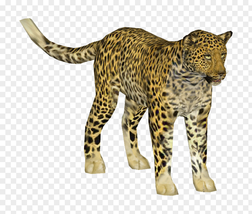 Leopard Indian Cheetah African Jaguar Ocelot PNG