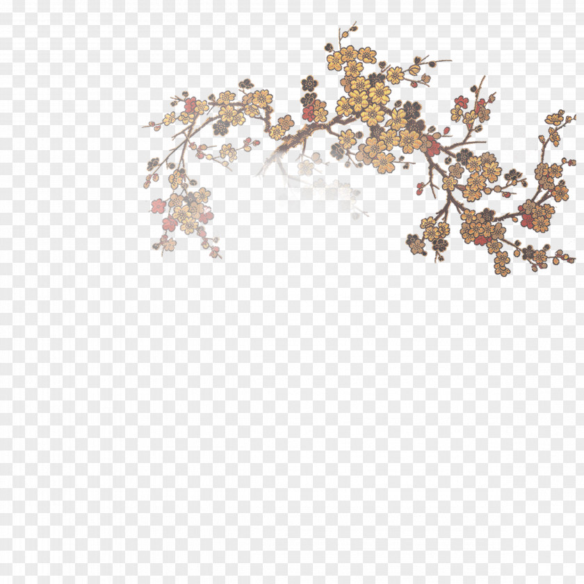 Plum Flower Yellow Blossom Red PNG