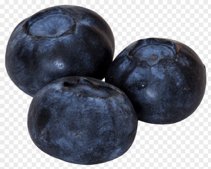 Blueberry European Clip Art Image PNG